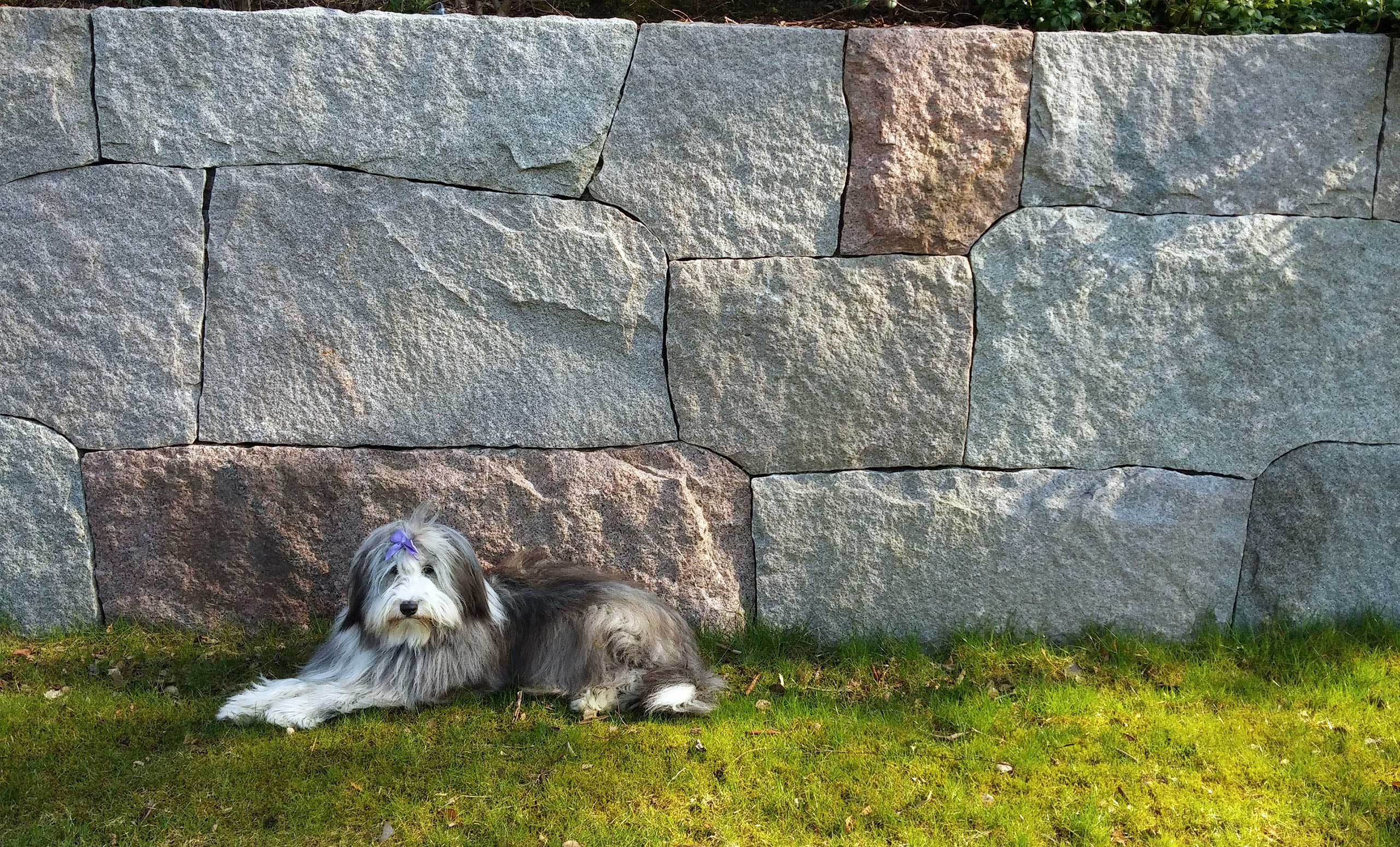 Stenmur i granit